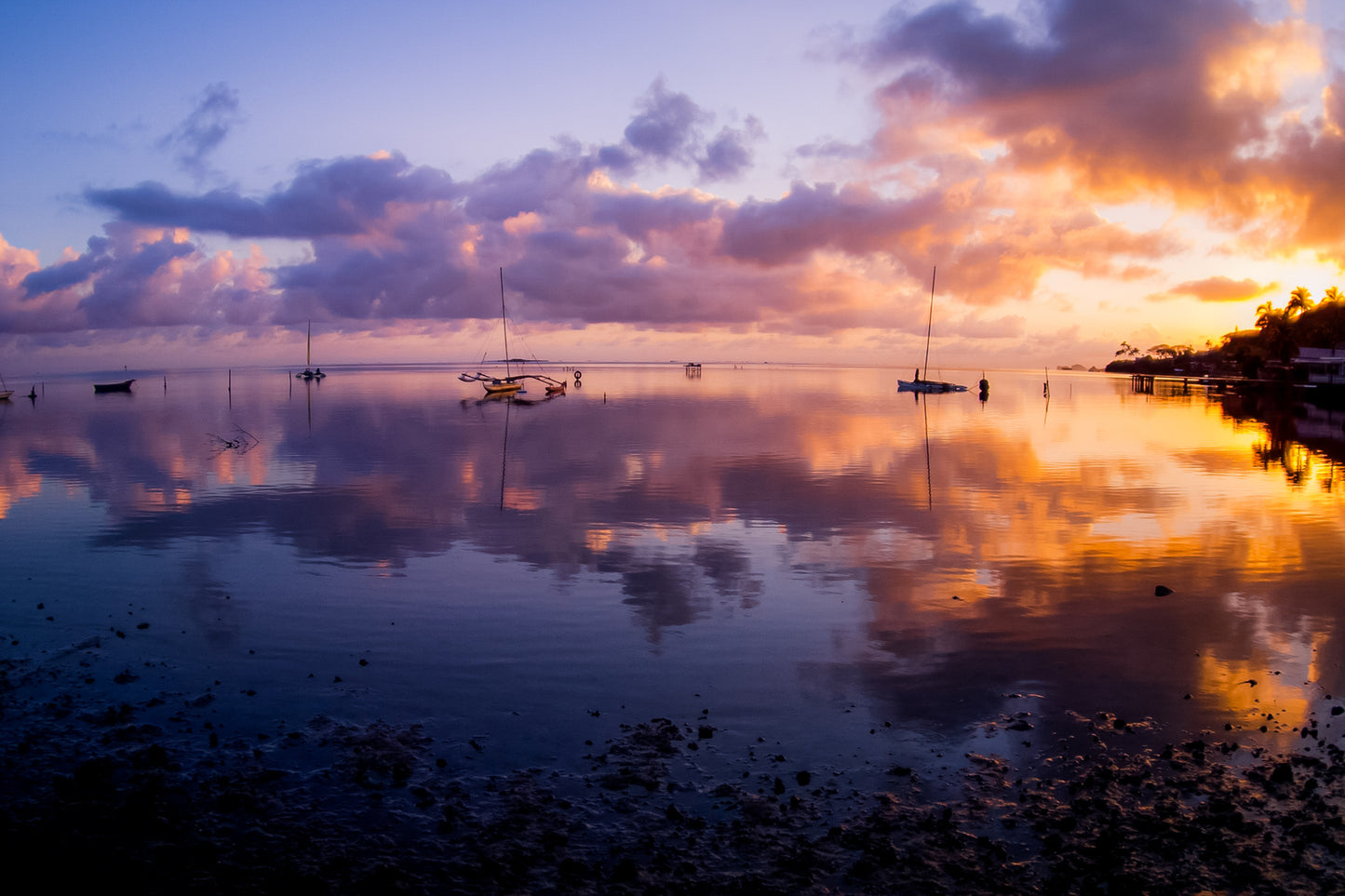 Kaneohe Warshak